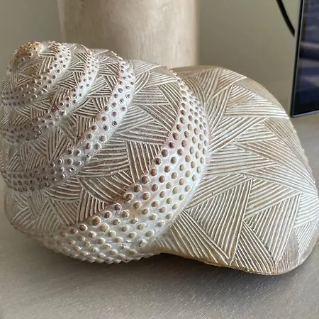 Zeedijk 264 High Season Saturday To Saturday 아파트 *